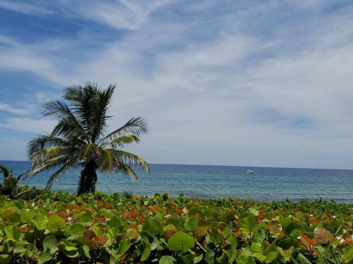Beautiful Spacious And Luxury Delray Beach House! Near The Beach! Exterior foto